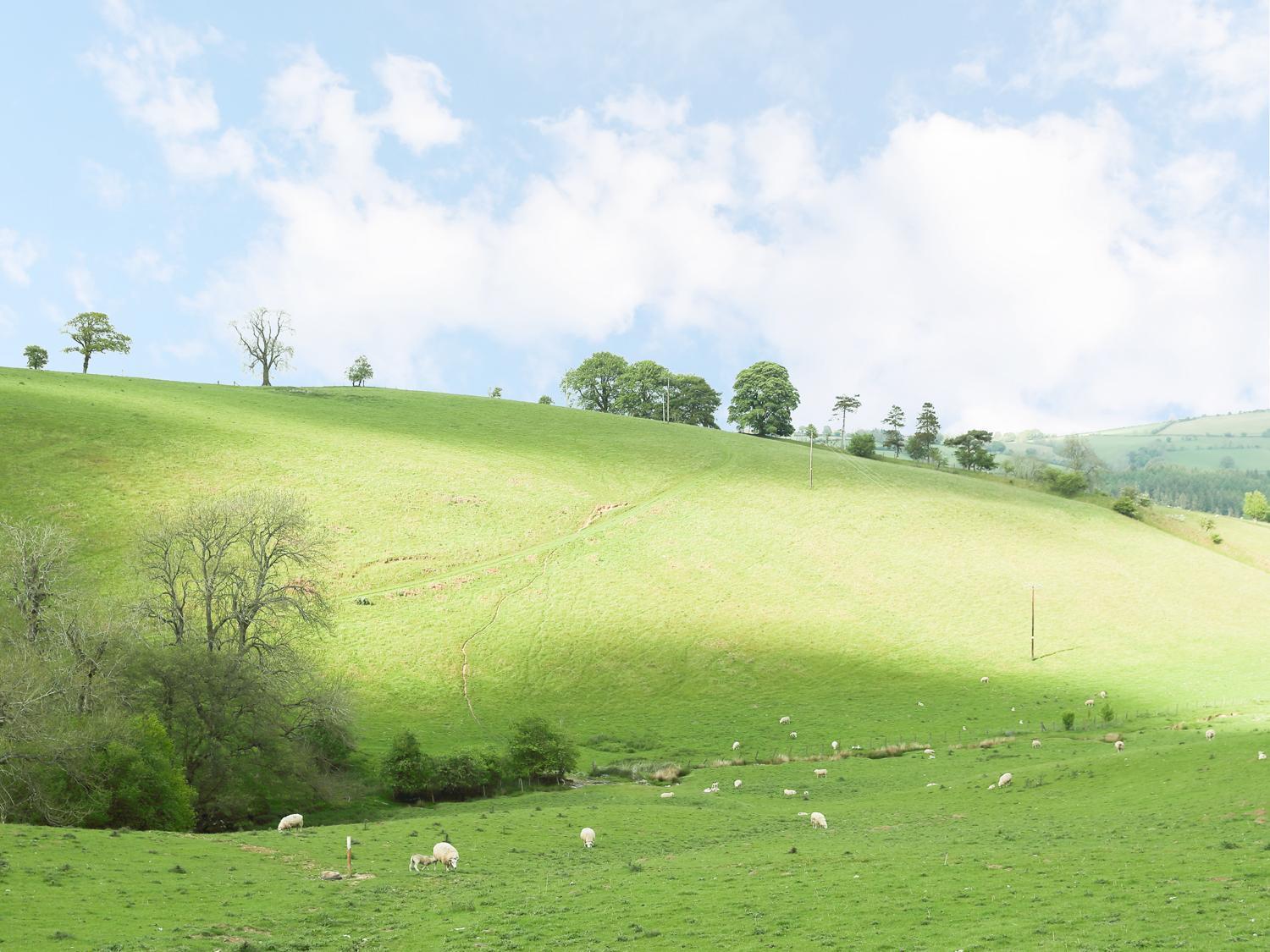 Вилла Rolling Hills Ньюкасл Экстерьер фото